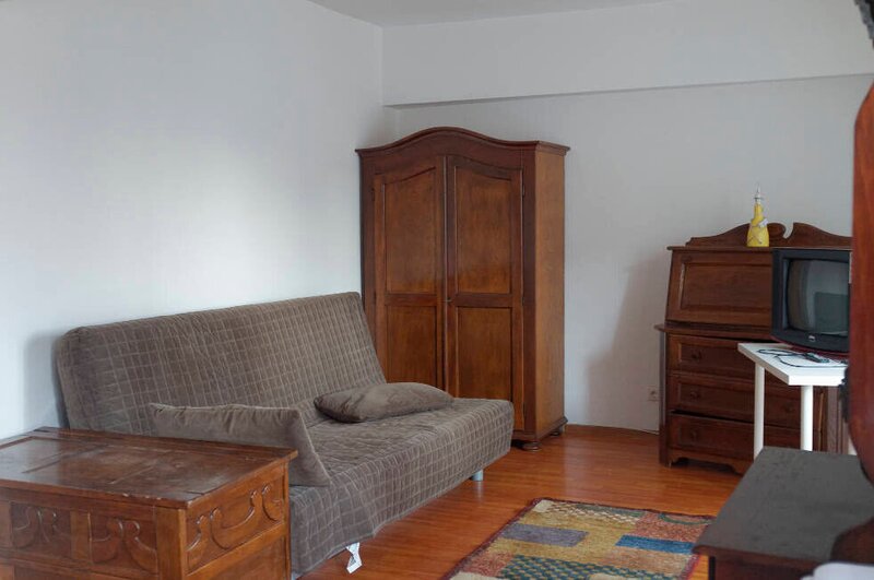 Ion Mihalache, Banu Manta pet friendly, inchiriere garsoniera