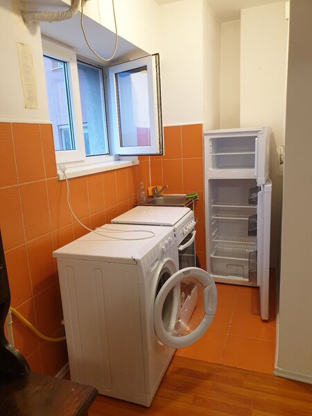 Ion Mihalache - Banu Manta -Pet friendly-inchiriere garsoniera